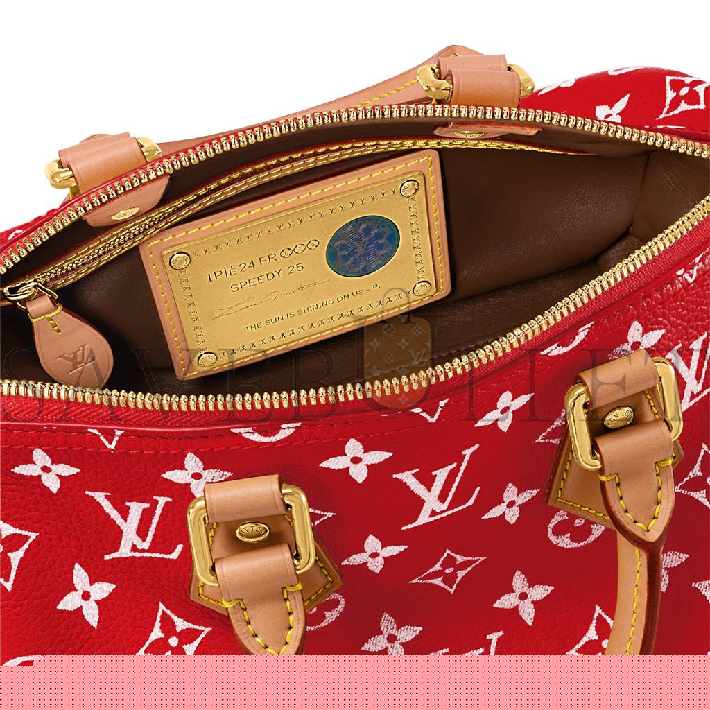 l**is V*t*n speedy p9 bandouliÈre 25 m24425 (25*15*15cm)